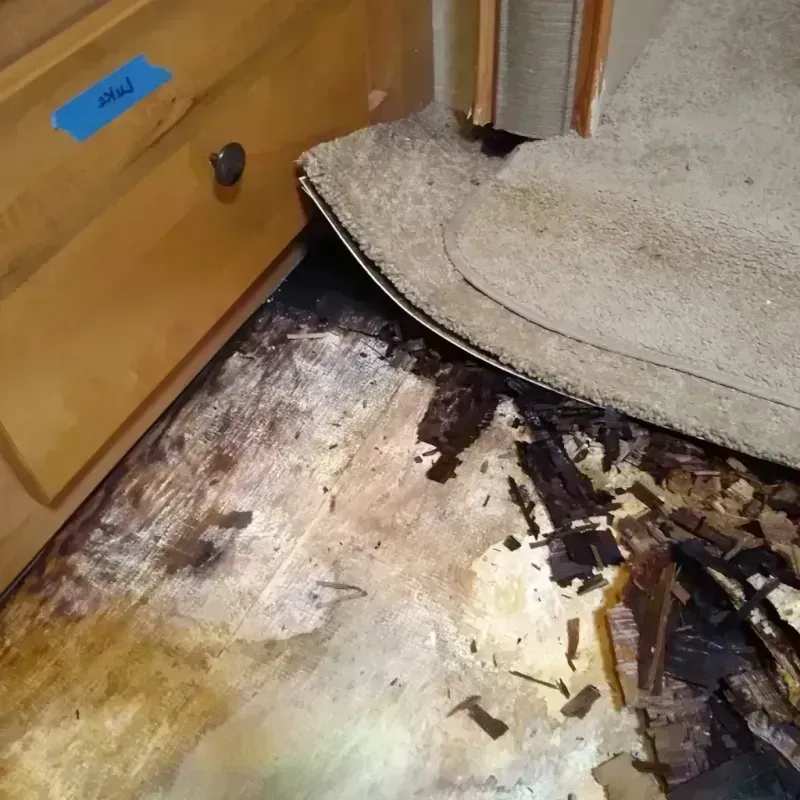 Wood Floor Water Damage in San Juan, TX